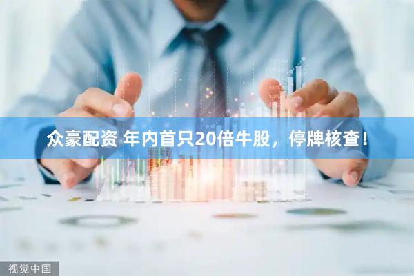 众豪配资 年内首只20倍牛股，停牌核查！