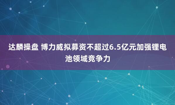 达麟操盘 博力威拟募资不超过6.5亿元加强锂电池领域竞争力