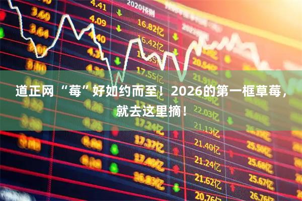 道正网 “莓”好如约而至！2026的第一框草莓，就去这里摘！